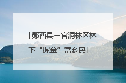 郧西县三官洞林区林下“掘金”富乡民