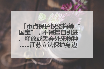 重点保护银缕梅等“国宝”，不得擅自引进、释放或丢弃外来物种……江苏立法保护身边的生物“朋友圈”
