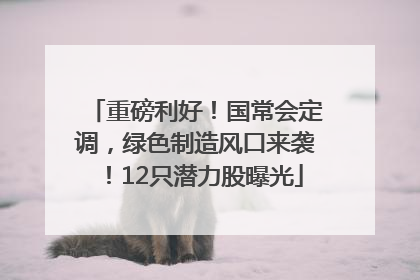 重磅利好！国常会定调，绿色制造风口来袭！12只潜力股曝光