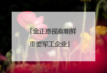 金正恩视察朝鲜重要军工企业