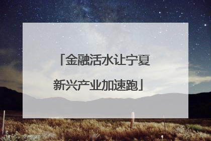 金融活水让宁夏新兴产业加速跑
