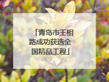 青岛市王相路成功获选全国精品工程