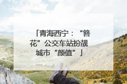 青海西宁：“簪花”公交车站扮靓城市“颜值”