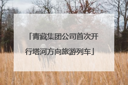 青藏集团公司首次开行塔河方向旅游列车