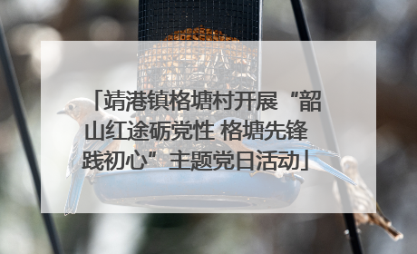 靖港镇格塘村开展“韶山红途砺党性 格塘先锋践初心”主题党日活动
