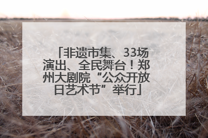 非遗市集、33场演出、全民舞台！郑州大剧院“公众开放日艺术节”举行