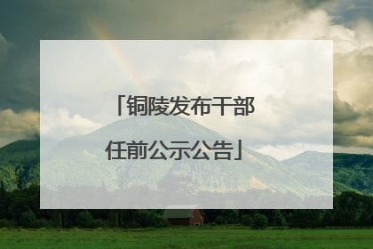 铜陵发布干部任前公示公告