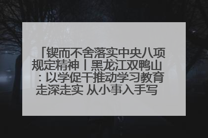 锲而不舍落实中央八项规定精神丨黑龙江双鸭山：以学促干推动学习教育走深走实 从小事入手写好“民生答卷”