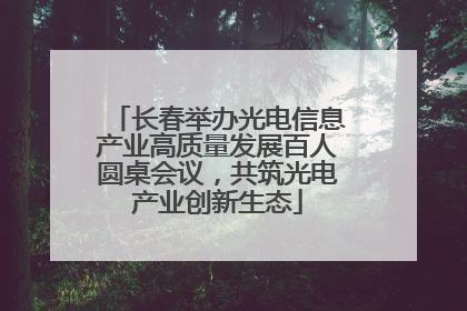 长春举办光电信息产业高质量发展百人圆桌会议，共筑光电产业创新生态
