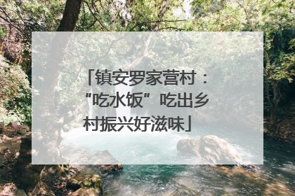 镇安罗家营村：“吃水饭”吃出乡村振兴好滋味