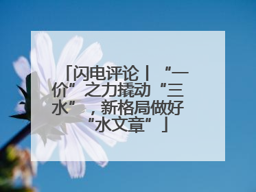 闪电评论丨“一价”之力撬动“三水”，新格局做好“水文章”