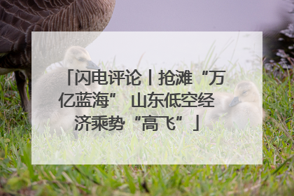 闪电评论丨抢滩“万亿蓝海” 山东低空经济乘势“高飞”