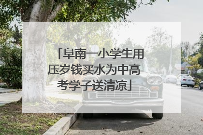 阜南一小学生用压岁钱买水为中高考学子送清凉