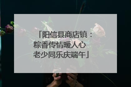 阳信县商店镇：粽香传情暖人心 老少同乐庆端午