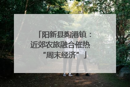 阳新县陶港镇：近郊农旅融合催热“周末经济”
