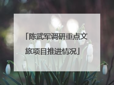 陈武军调研重点文旅项目推进情况