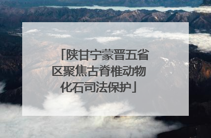 陕甘宁蒙晋五省区聚焦古脊椎动物化石司法保护