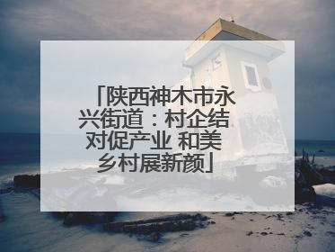 陕西神木市永兴街道：村企结对促产业 和美乡村展新颜