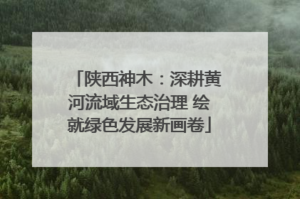 陕西神木：深耕黄河流域生态治理 绘就绿色发展新画卷