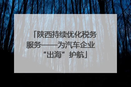 陕西持续优化税务服务——为汽车企业“出海”护航
