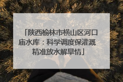 陕西榆林市横山区河口庙水库：科学调度保灌溉 精准放水解旱情