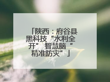 陕西：府谷县黑科技“水利全开” 智慧脑“精准防灾”