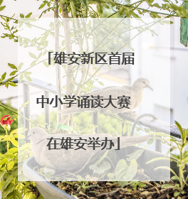 雄安新区首届中小学诵读大赛在雄安举办