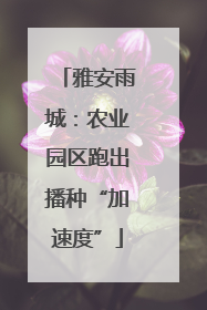 雅安雨城：农业园区跑出播种“加速度”