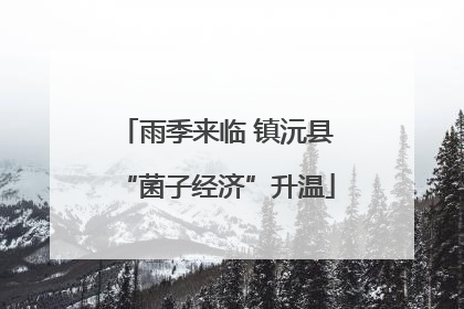雨季来临 镇沅县“菌子经济”升温
