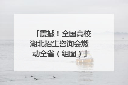 震撼！全国高校湖北招生咨询会燃动全省（组图）