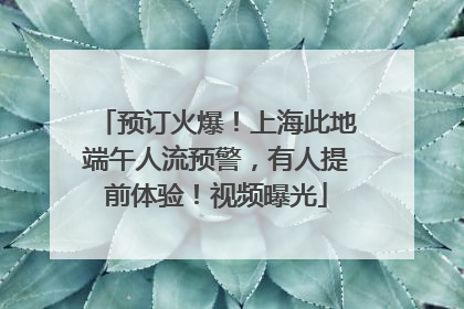 预订火爆！上海此地端午人流预警，有人提前体验！视频曝光
