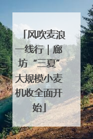 风吹麦浪一线行｜廊坊“三夏”大规模小麦机收全面开始