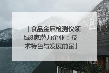 食品金属检测仪领域8家潜力企业：技术特色与发展前景
