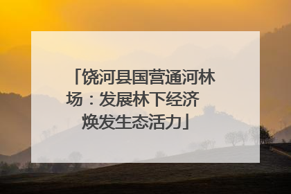 饶河县国营通河林场：发展林下经济 焕发生态活力