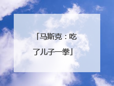 马斯克：吃了儿子一拳