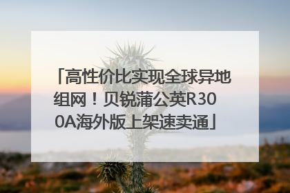 高性价比实现全球异地组网！贝锐蒲公英R300A海外版上架速卖通