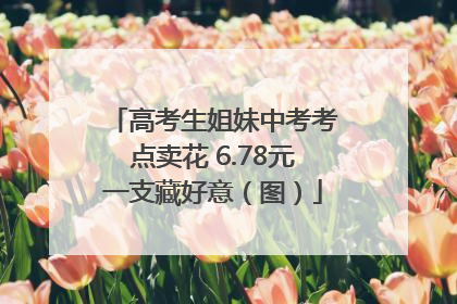 高考生姐妹中考考点卖花 6.78元一支藏好意（图）