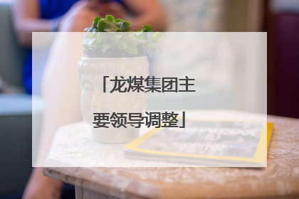 龙煤集团主要领导调整