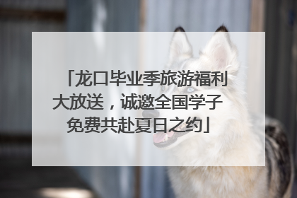 龙口毕业季旅游福利大放送，诚邀全国学子免费共赴夏日之约