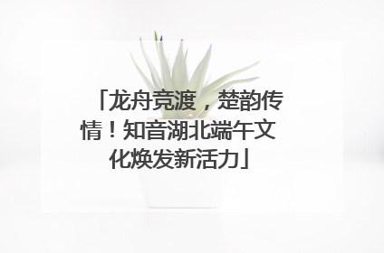 龙舟竞渡，楚韵传情！知音湖北端午文化焕发新活力