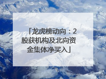 龙虎榜动向：2股获机构及北向资金集体净买入