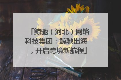 鲸驰（河北）网络科技集团：鲸驰出海，开启跨境新航程