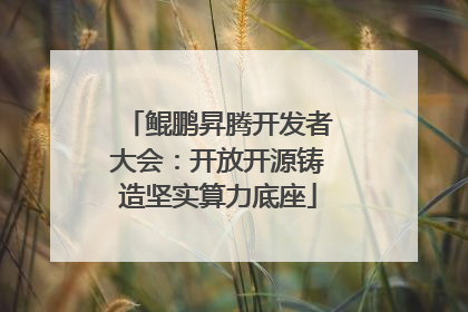 鲲鹏昇腾开发者大会：开放开源铸造坚实算力底座