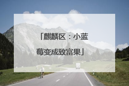 麒麟区：小蓝莓变成致富果