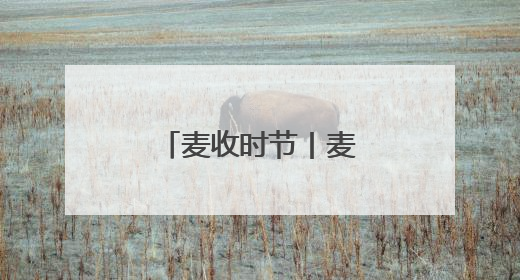 麦收时节丨麦田里的观天人