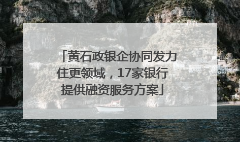 黄石政银企协同发力住更领域，17家银行提供融资服务方案
