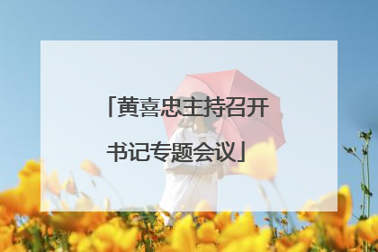黄喜忠主持召开书记专题会议