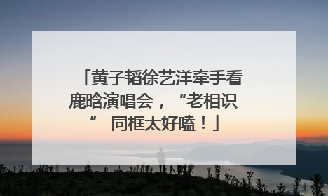 黄子韬徐艺洋牵手看鹿晗演唱会，“老相识” 同框太好嗑！
