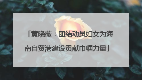 黄晓薇：团结动员妇女为海南自贸港建设贡献巾帼力量