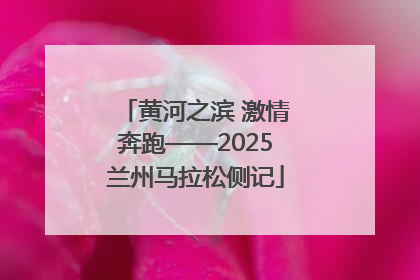 黄河之滨 激情奔跑——2025兰州马拉松侧记